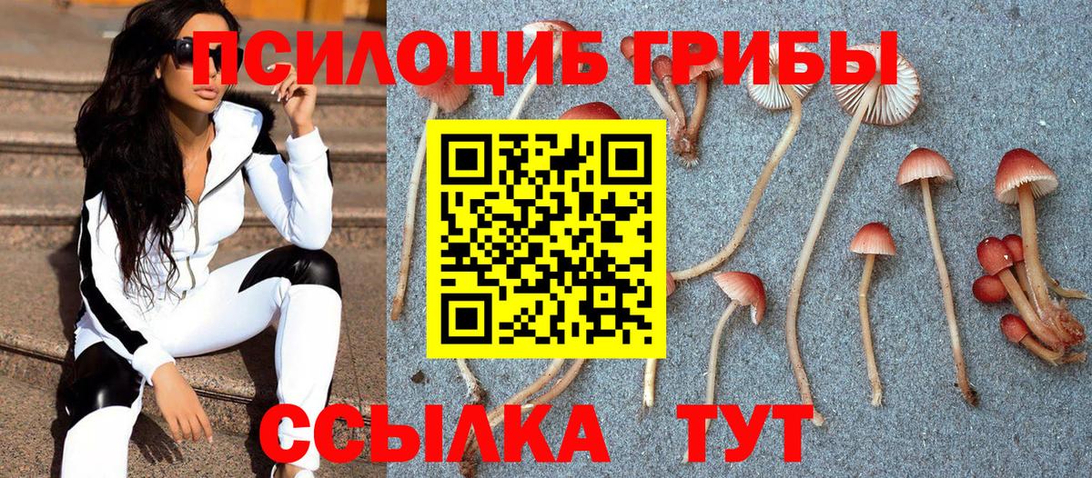 Псилоцибиновые грибы Cubensis Советск
