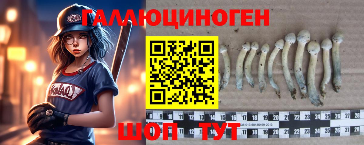 Псилоцибиновые грибы MAGIC MUSHROOMS  цена   Советск  Вход с VPN 